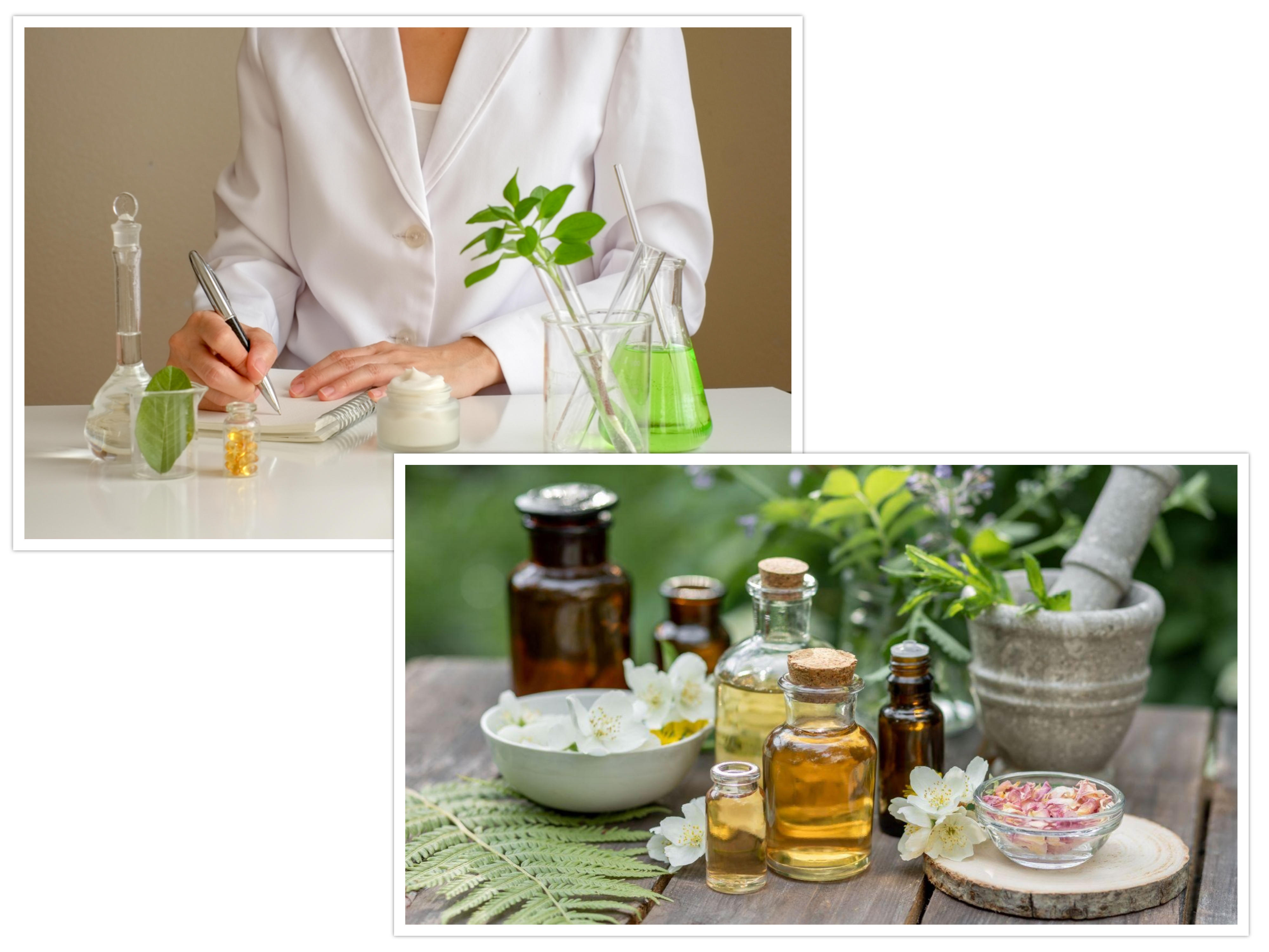 About_HerbalX